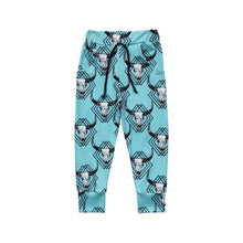 Load image into Gallery viewer, Baby Boys Western Blue Cowskull Pants
